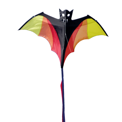 1146_fledermaus_frei