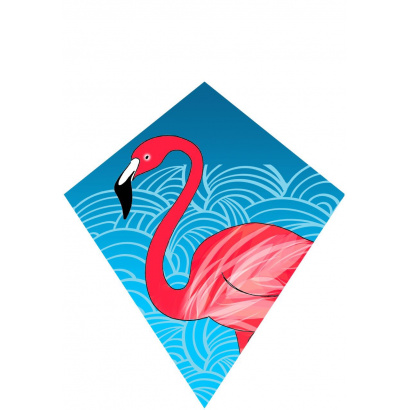 1161_flamingo_eddy_2