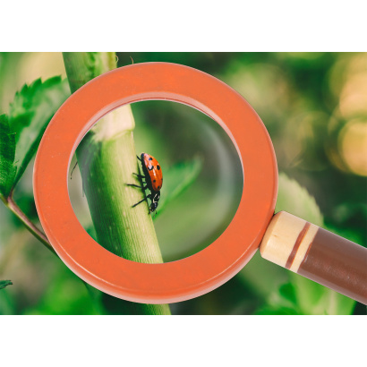 12337_small_foot_entdeckerguertel_discover_lupe_funktion