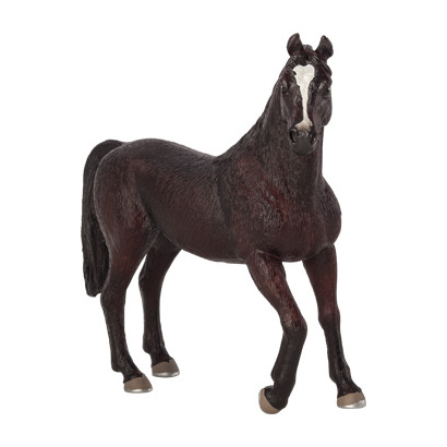 387069_araberhengst_schwarz