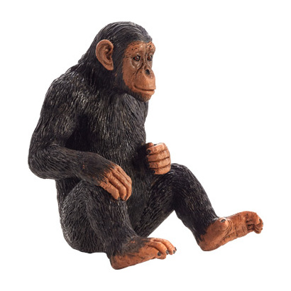 387265_chimpanzee
