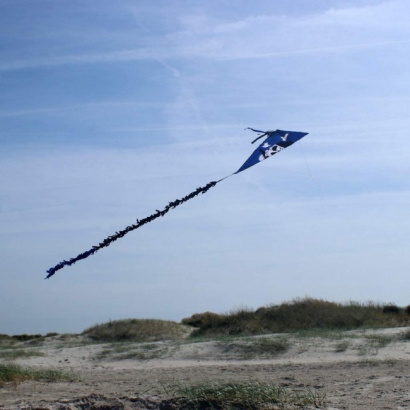 61lw0otmizl__ac_sl1024_