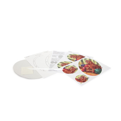 8734_3d_bilderrahmen_katze_a