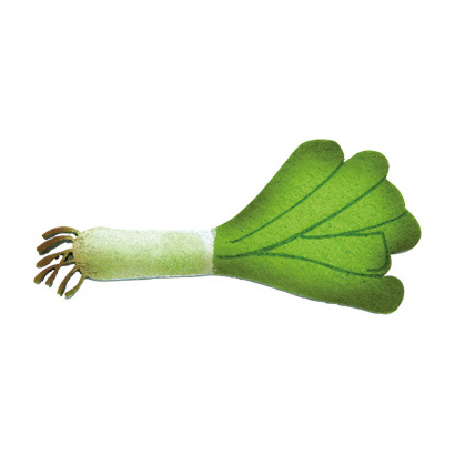 9856_porree_12_stk_b