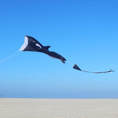 wolkenstuermer_3ddrachen_willi_whale_strand