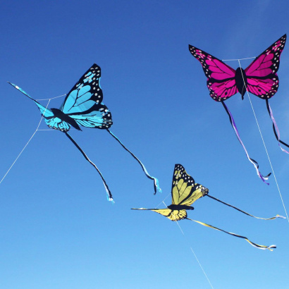 wolkenstuermer_kinderdrachen_bella_schmetterling_gruppe_strand