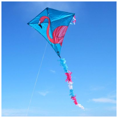 wolkenstuermer_kinderdrachen_eddy_flamingo_strand_400x400