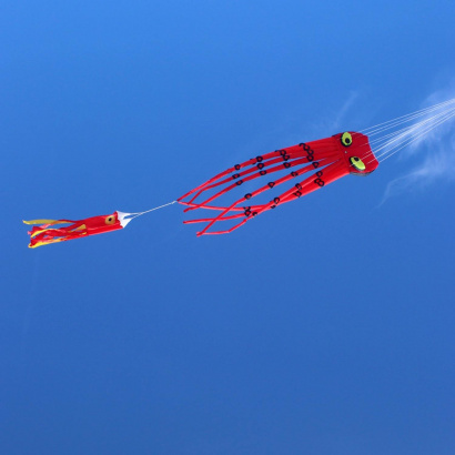 wolkenstuermer_kinderdrachen_otto_octopus_strand